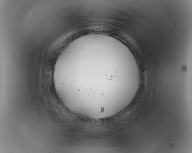 X0000113151111200909251321