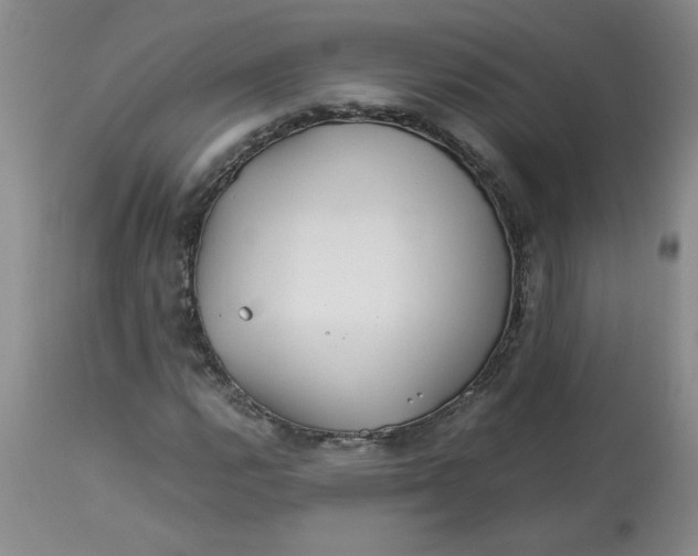 X0000113151112200909251321