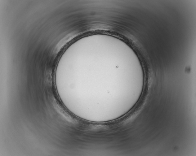 X0000113151113200909251321