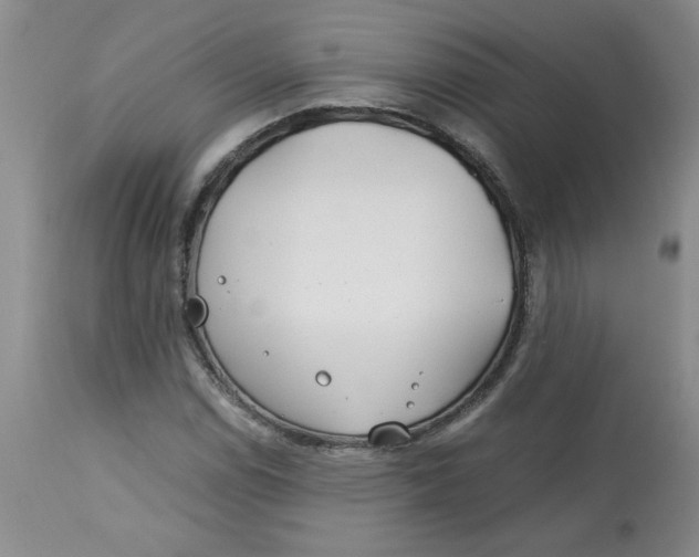 X0000113151114200909251321