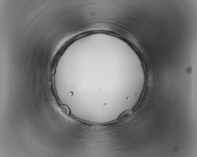 X0000113151116200909251321