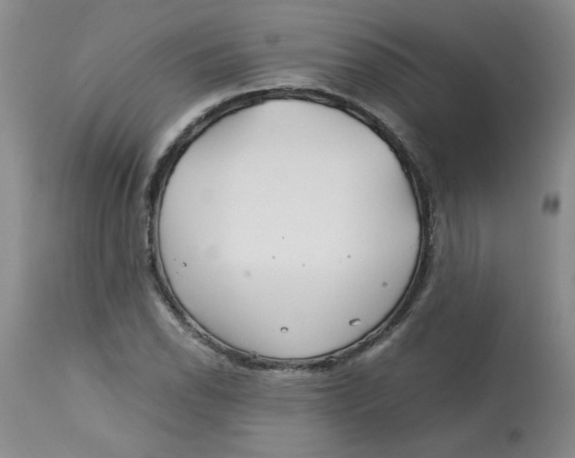 X0000113151118200909251321