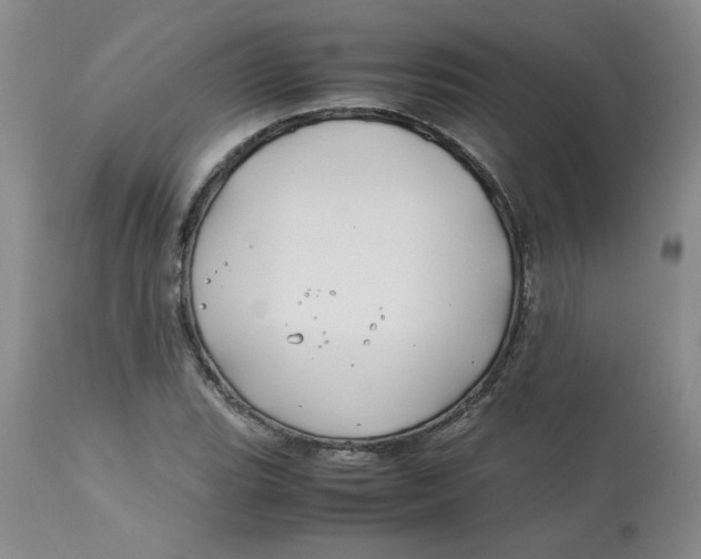 X0000113151119200909251321