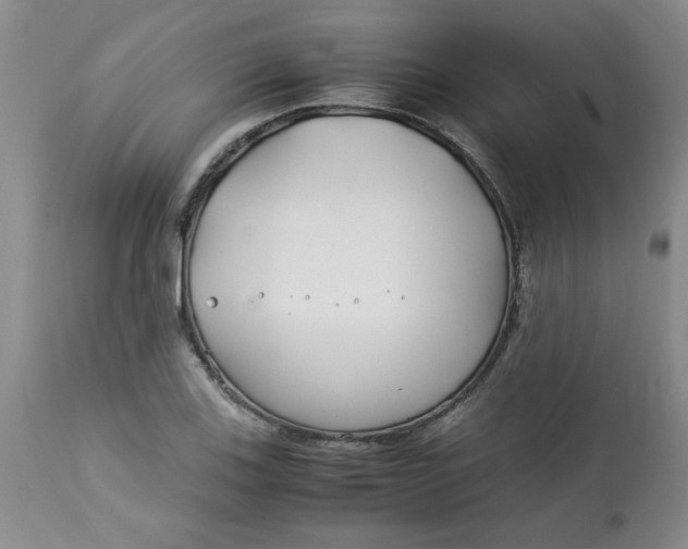 X0000113151123200909251321