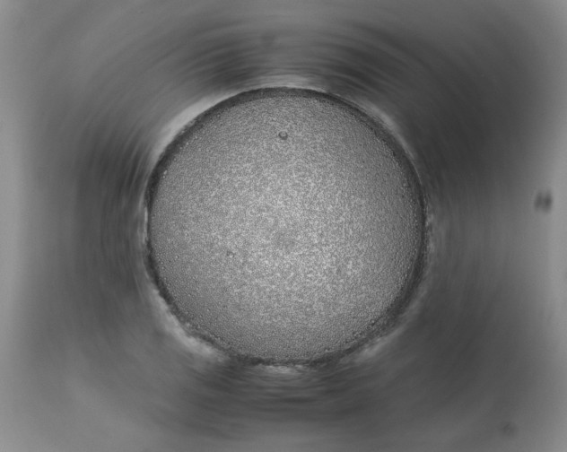 X0000113151125200909251321