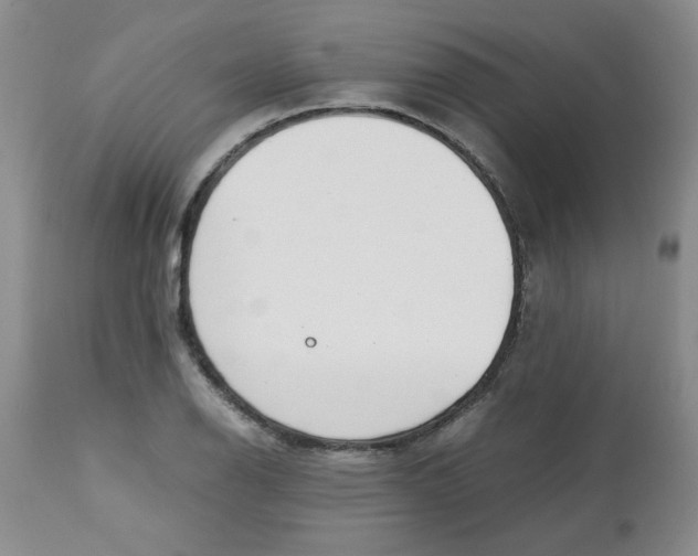 X0000113151126200909251321