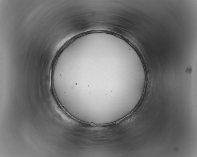 X0000113151127200909251321