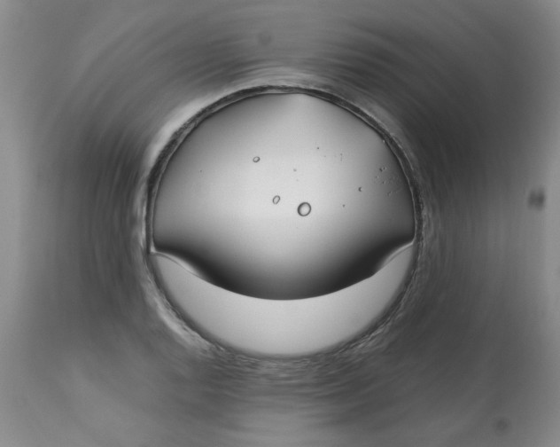 X0000113151128200909251321