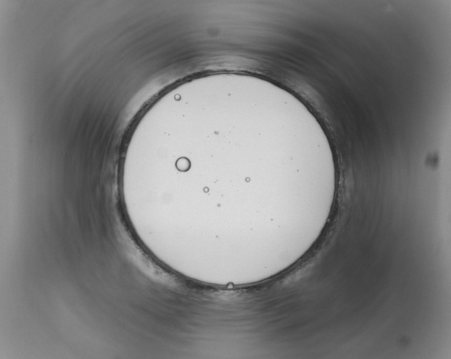 X0000113151130200909251321