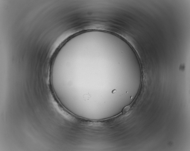 X0000113151131200909251321