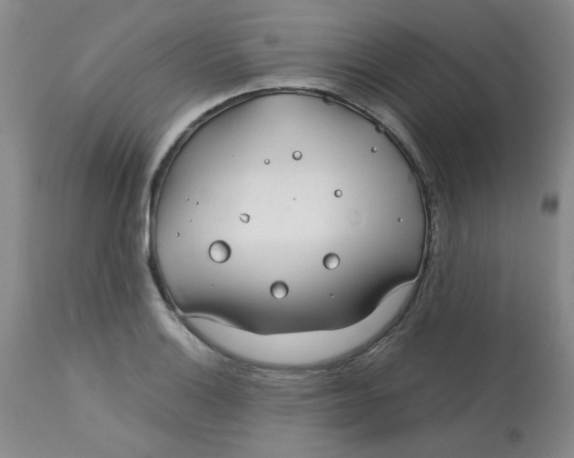 X0000113151132200909251321