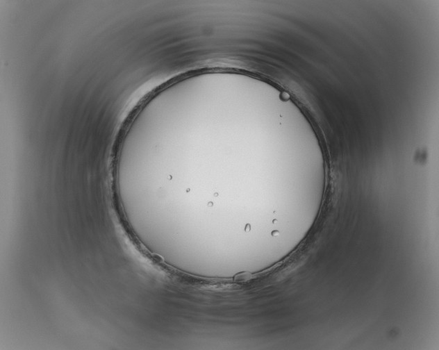 X0000113151133200909251321