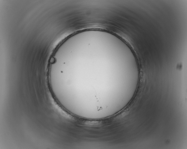 X0000113151135200909251321