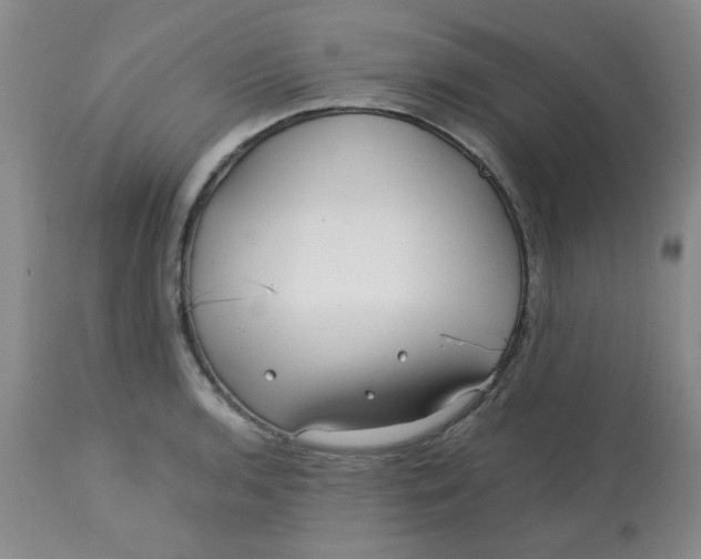 X0000113151136200909251321