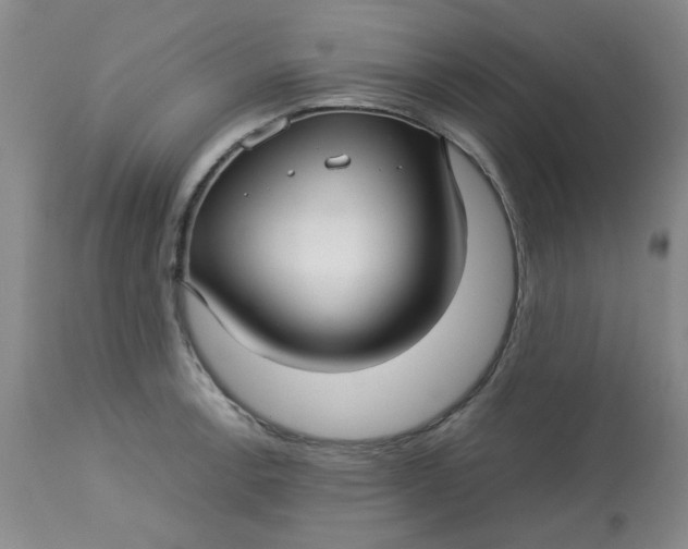 X0000113151138200909251321