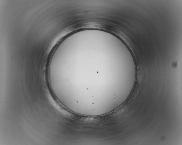 X0000113151139200909251321