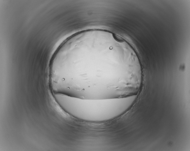 X0000113151140200909251321