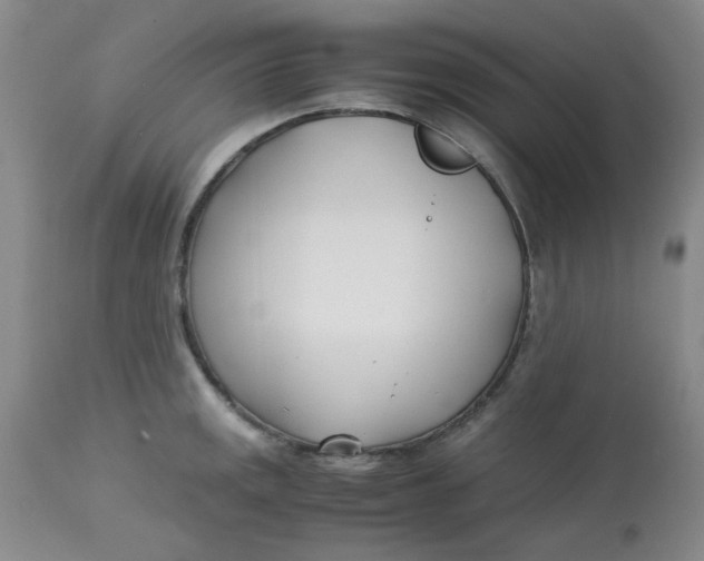 X0000113151141200909251321