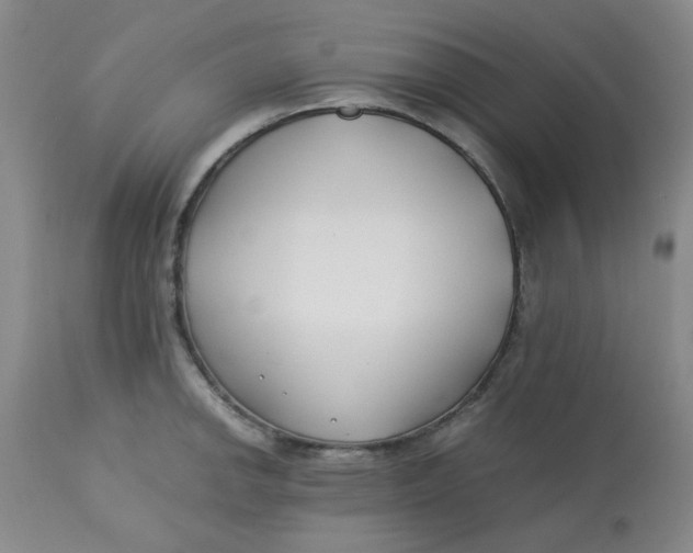 X0000113151142200909251322