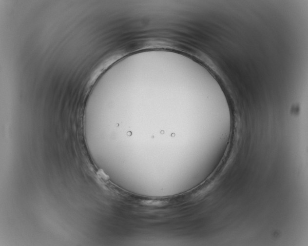 X0000113151145200909251322