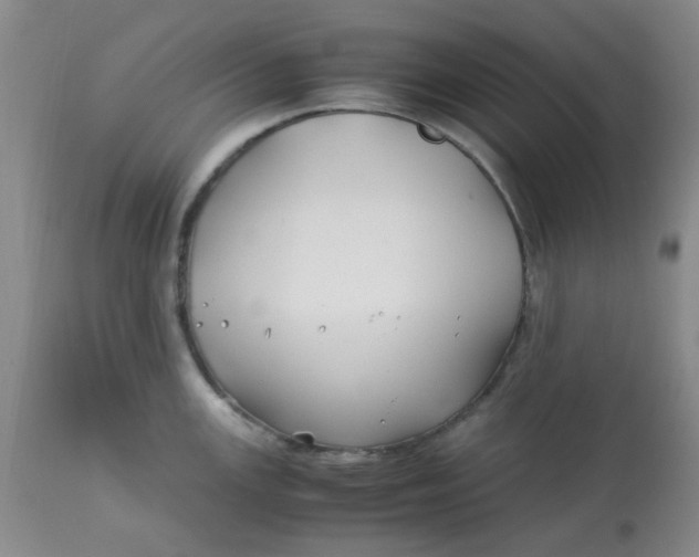 X0000113151147200909251322