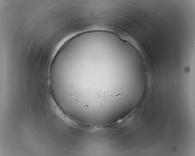 X0000113151148200909251322