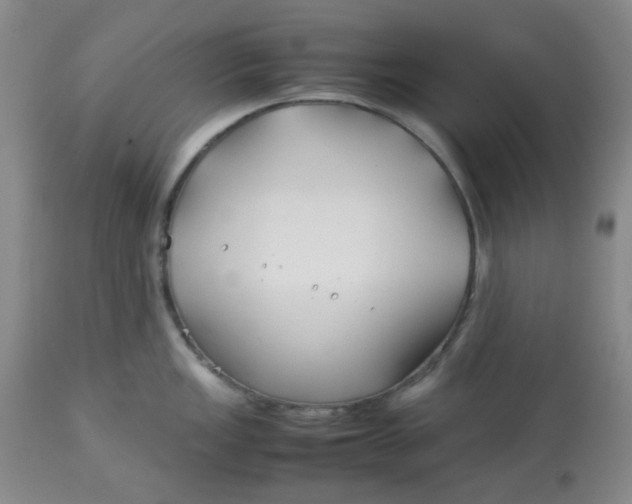 X0000113151149200909251322