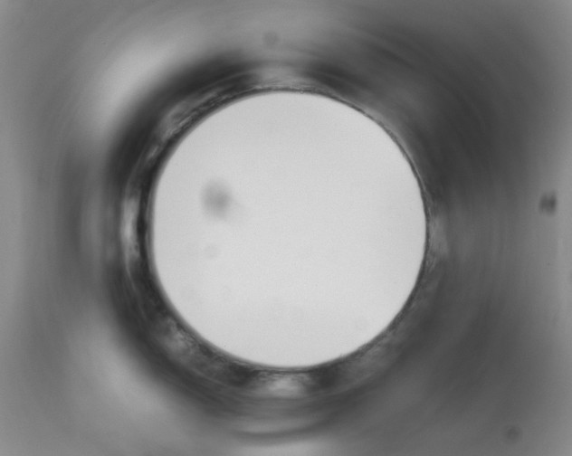 X0000113151150200909251322