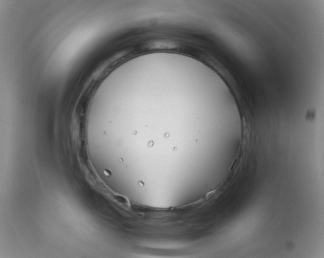 X0000113151151200909251322