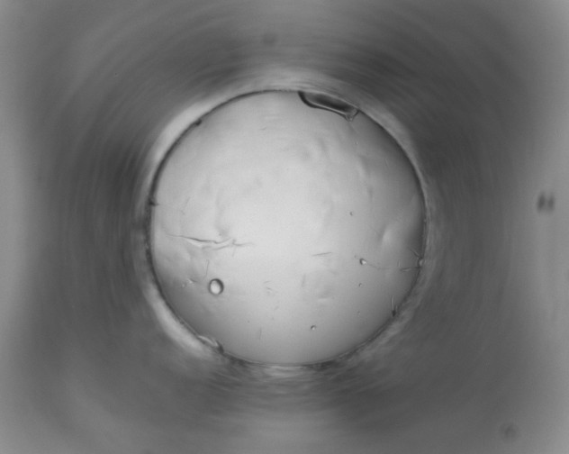 X0000113151152200909251322