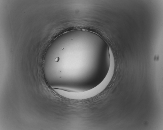 X0000113151153200909251321