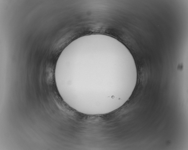 X0000113151154200909251321