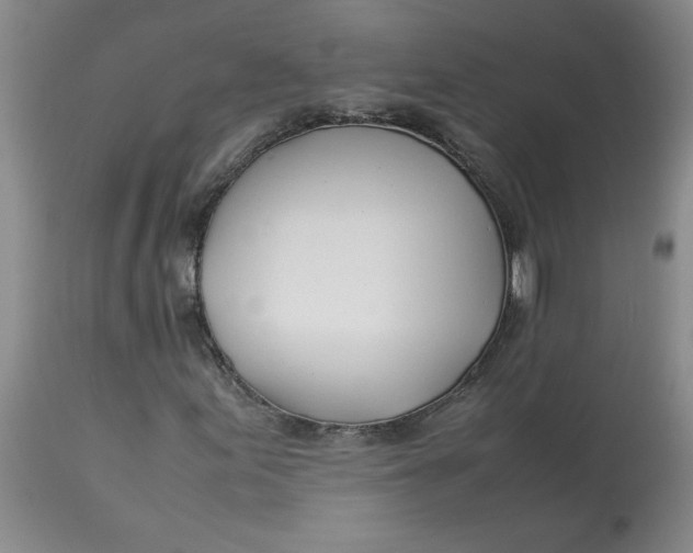 X0000113151155200909251321