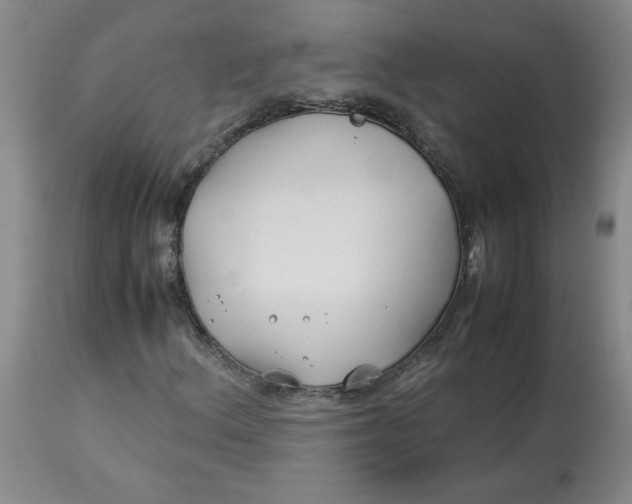 X0000113151156200909251321