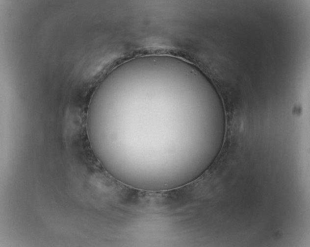 X0000113151157200909251321