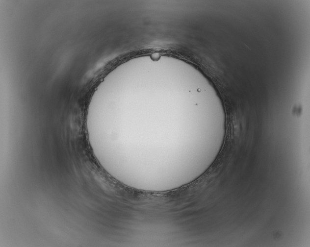 X0000113151158200909251321