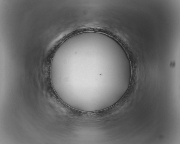 X0000113151159200909251321