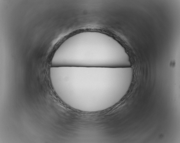 X0000113151160200909251321