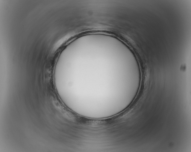 X0000113151163200909251321