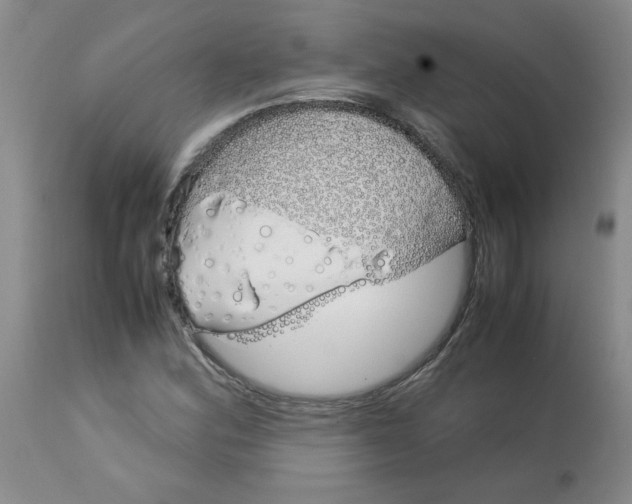 X0000113151164200909251321