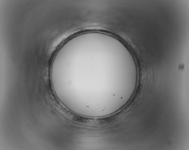 X0000113151167200909251321