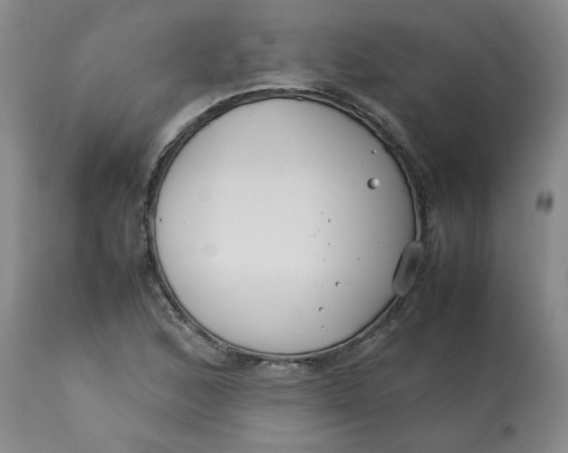 X0000113151168200909251321