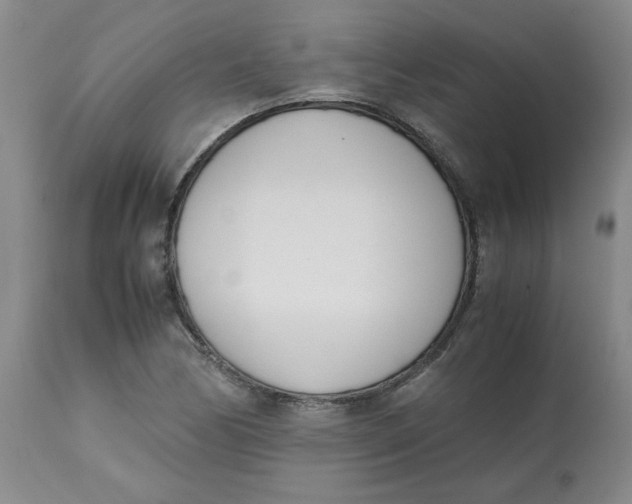 X0000113151170200909251321