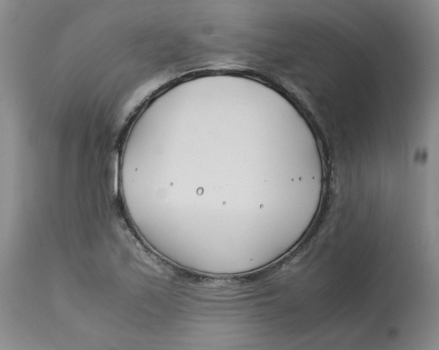 X0000113151171200909251321