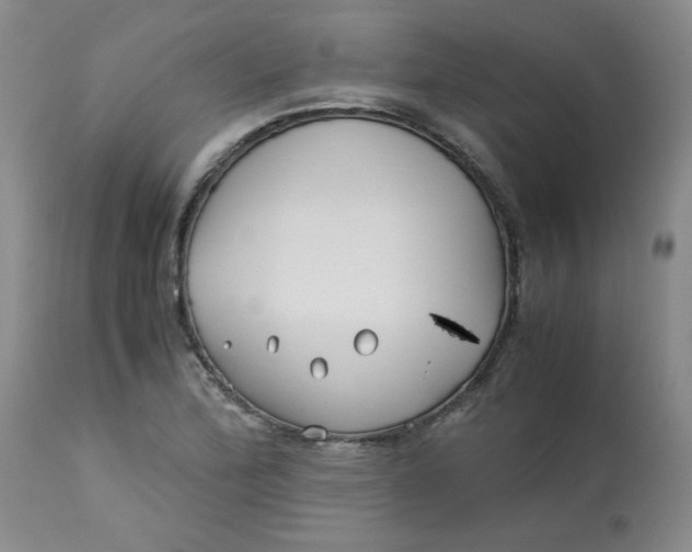 X0000113151172200909251321