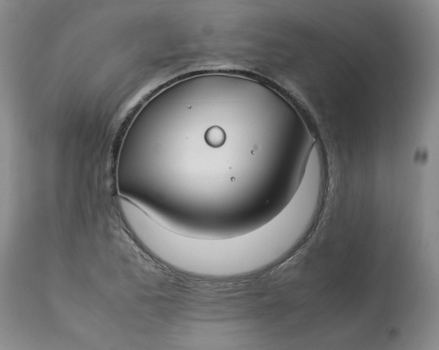 X0000113151173200909251321