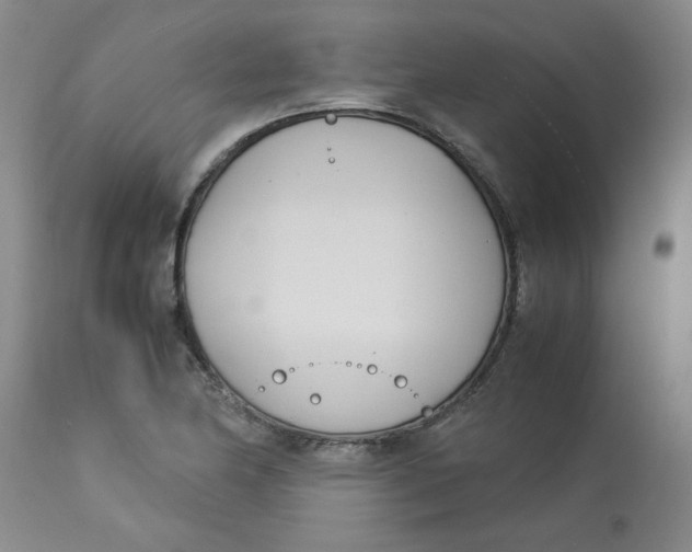 X0000113151174200909251321