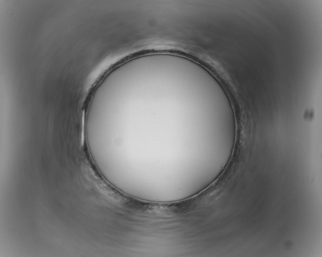 X0000113151175200909251321