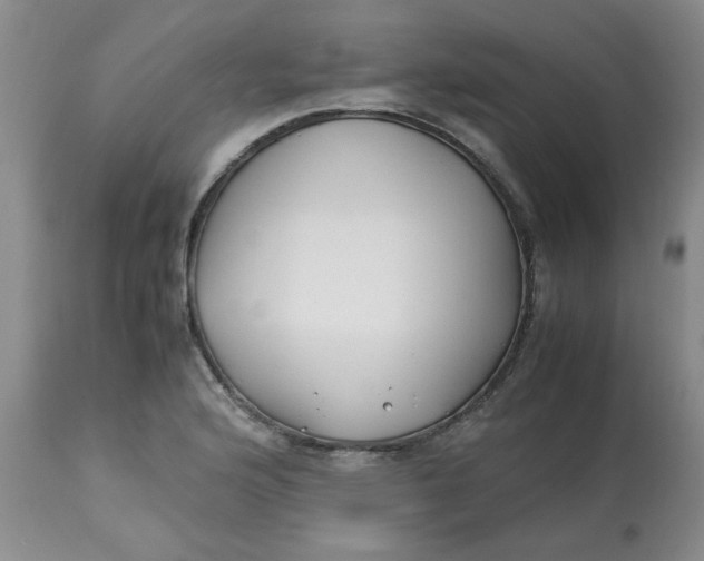 X0000113151176200909251321