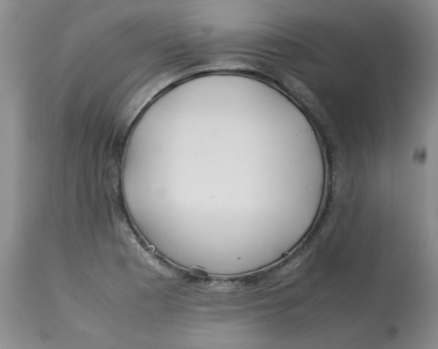 X0000113151177200909251321